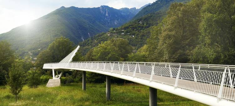 贝林佐纳南瑞士品质酒店(Hotel Bellinzona Sud Swiss Quality)图片