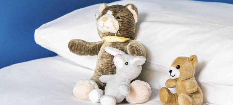 宜必思快捷拉罗歇尔中心火车站酒店(ibis Budget La Rochelle Centre Gare)图片