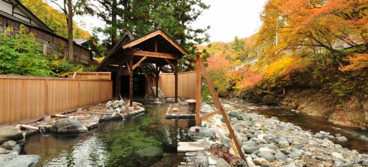 温泉主题公园Ryuudou(Onsen Theme Park Ryuudou)图片