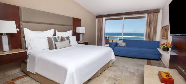 韦拉克鲁斯美洲嘉年华大酒店(Grand Fiesta Americana Veracruz)图片