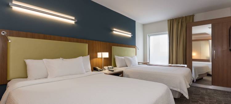 夏洛特巴兰坦万豪SpringHill酒店(SpringHill Suites Charlotte Ballantyne)图片