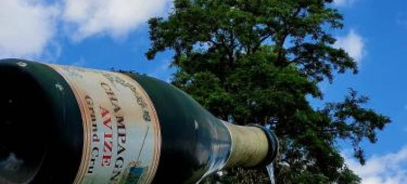 公寓(Au 1894 Grand Cru)图片