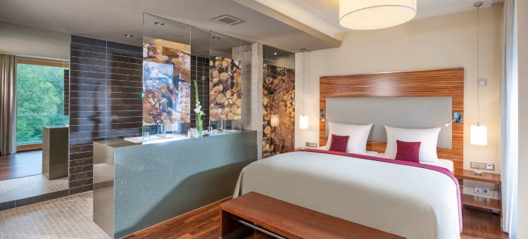 佛莱堡多林特温泉酒店(Dorint Thermenhotel Freiburg)图片