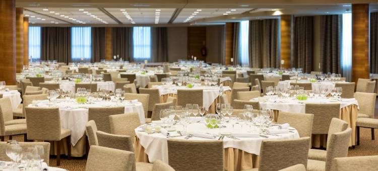 索罗拉宫酒店塞尔科特酒店(Sercotel Sorolla Palace)图片