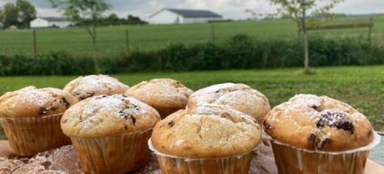 Enkegården Gårdshotell图片