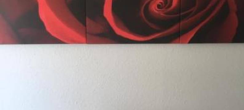 Mainzimmer Business Appartment - Monteurwohnung Mit Burgblick图片