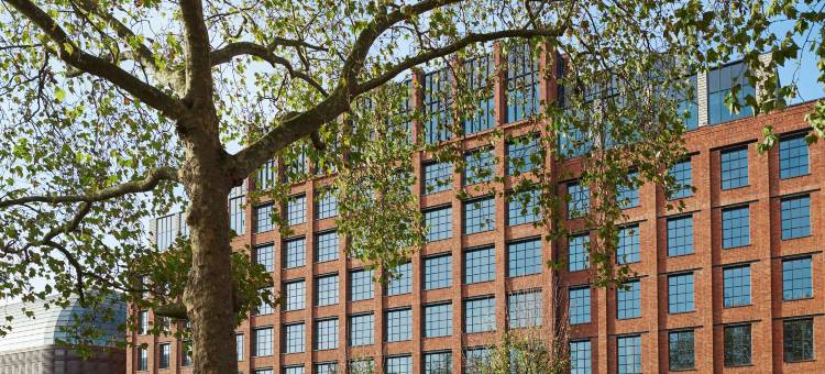 霍克斯顿牧羊人布什(The Hoxton, Shepherds Bush)图片