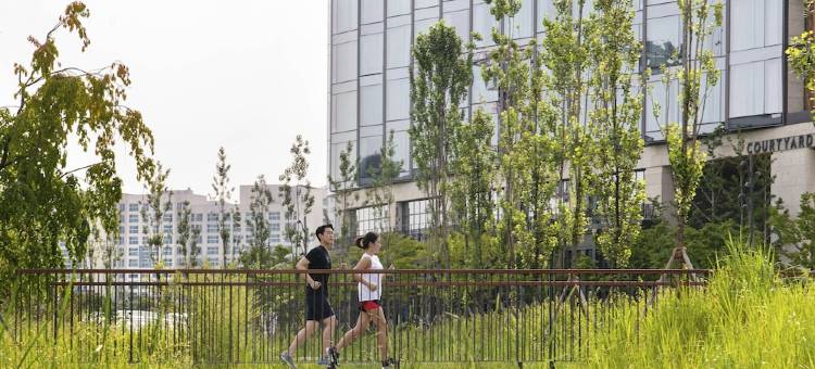 首尔植物园万怡酒店(Courtyard by Marriott Seoul Botanic Park)图片