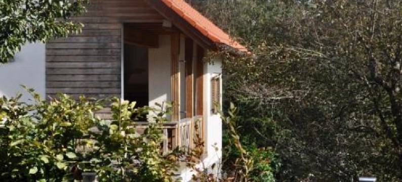 Guest House Domačija Krnc图片