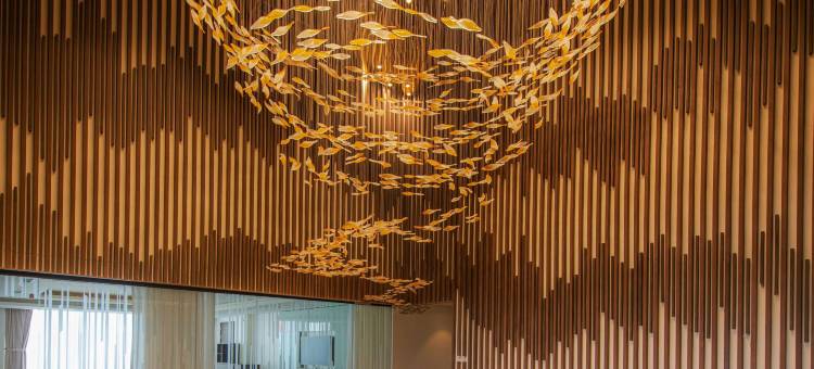 索尔下龙温德姆商标精选酒店(Hotel Soleil Halong, Trademark Collection by Wyndham)图片