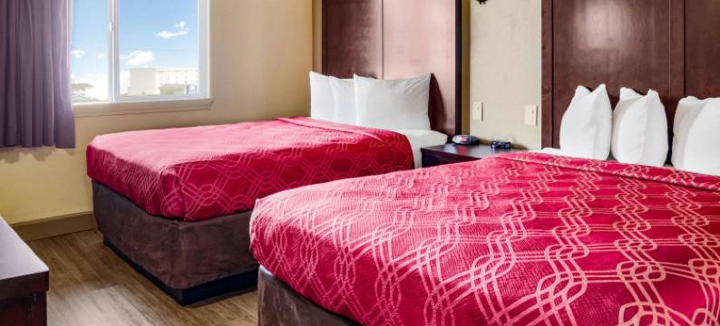 纽波特的伊克诺旅馆(Econo Lodge)图片