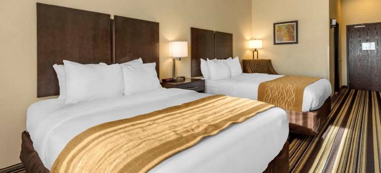 舒适套房酒店(Comfort Inn & Suites)图片