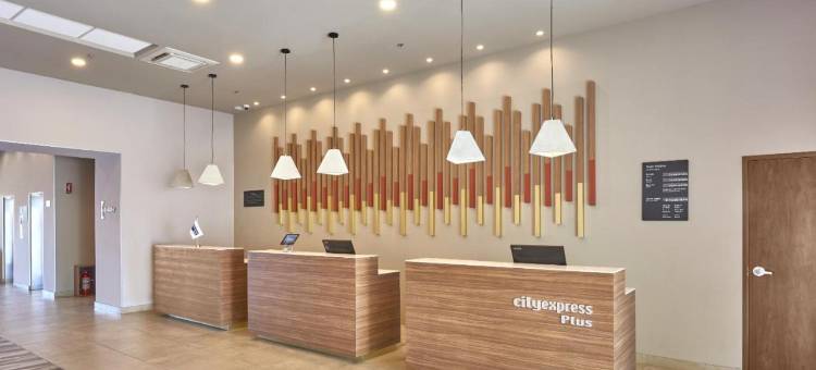 巴亚以塔港万豪城市快捷普拉斯酒店(City Express Plus by Marriott Puerto Vallarta)图片