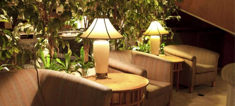 神户珍珠城市饭店(Hotel Pearl City Kobe)图片