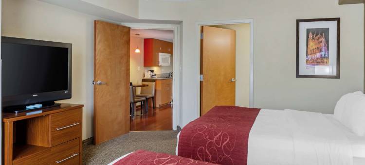 舒适套房酒店-维吉尼亚购物中心(Comfort Suites at Virginia Center Commons)图片
