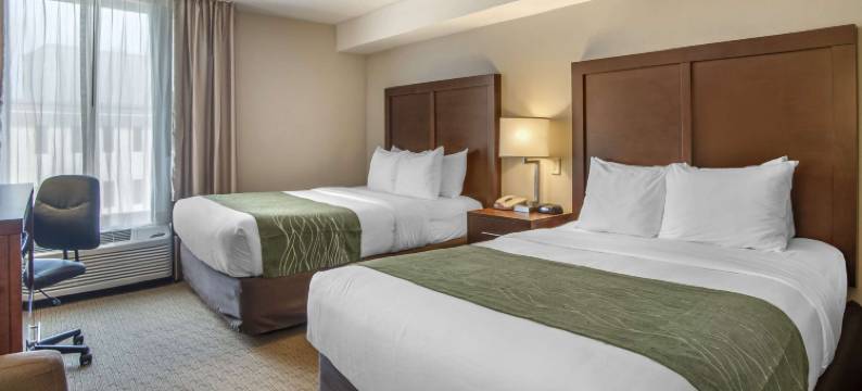 舒适酒店-盖瑟斯堡罗克维尔凉荫丛(Comfort Inn Shady Grove - Gaithersburg - Rockville)图片