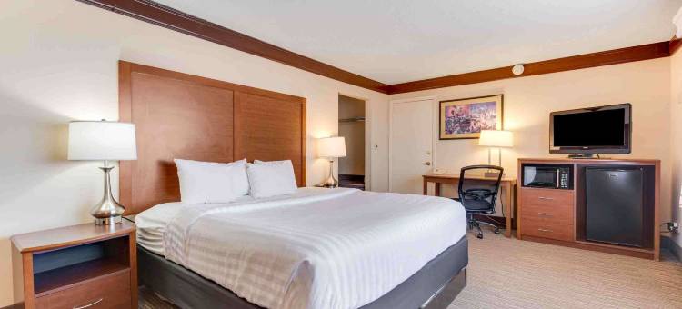 电影庄园贝斯特韦斯特酒店(Best Western Movie Manor)图片