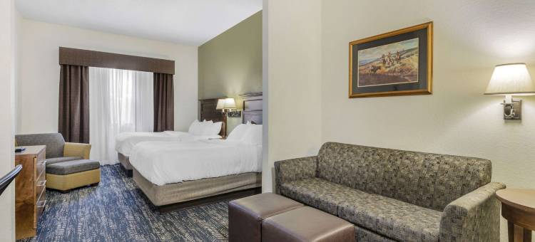 拉什莫尔山舒适套房酒店(Comfort Inn & Suites Mt Rushmore)图片