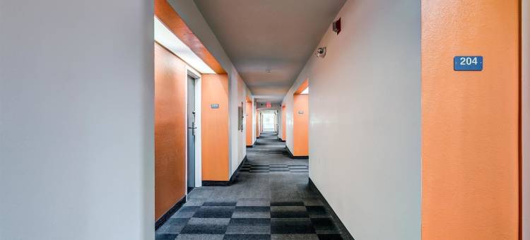 肯塔基乔治敦 - 莱星顿北 6 号汽车旅馆(Motel 6 Georgetown, KY - Lexington North)图片