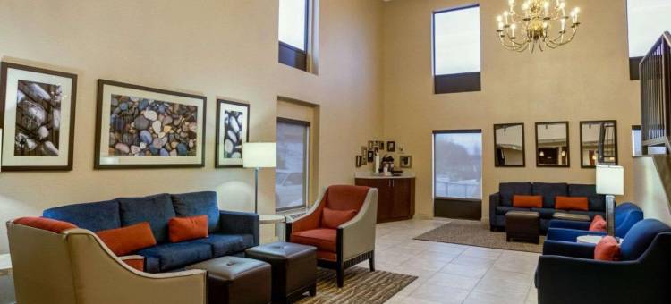 舒适酒店汉堡区 / I-75列克星敦(Comfort Inn Lexington I-75)图片