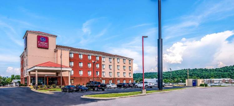 佩勒姆胡佛I-65号舒适套房酒店(Comfort Suites Pelham Hoover I-65)图片