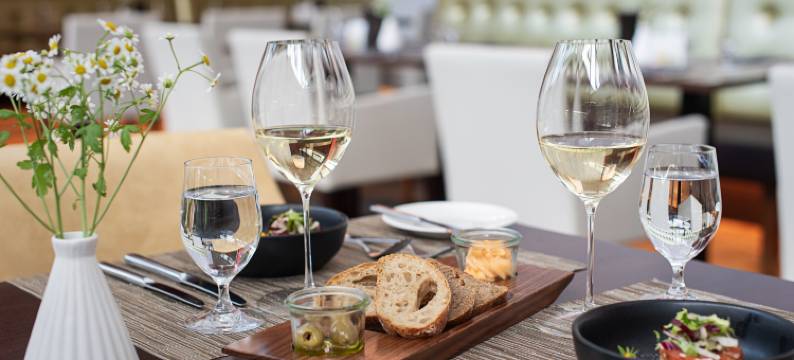 观园会议水疗酒店(Das Seepark Wörthersee Resort)图片