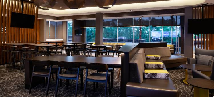 伊丽莎白敦万豪SpringHill Suites酒店(SpringHill Suites Elizabethtown)图片