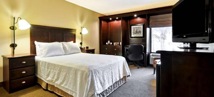 查尔斯顿快乐山爱国者欢朋酒店(Hampton Inn Charleston/Mt. Pleasant-Patriots Point)图片