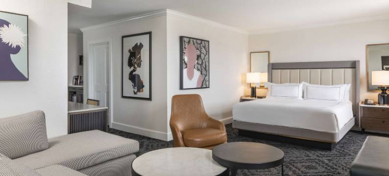 查尔斯顿米尔斯之家 - 希尔顿格芮精选酒店(Mills House Charleston, Curio Collection by Hilton)图片