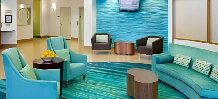 弗兰肯默斯万豪SpringHill Suites 酒店(SpringHill Suites Frankenmuth)图片