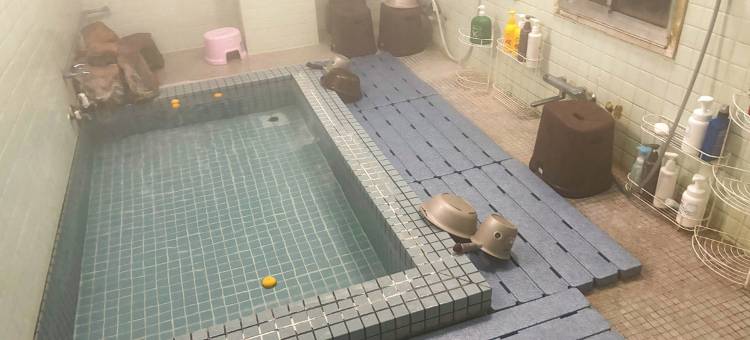 Eco Hotel Yunokosou图片
