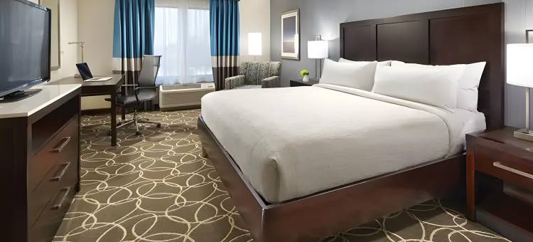 佛罗里达坦帕 - 韦斯利查普尔希尔顿花园酒店(Hilton Garden Inn Tampa - Wesley Chapel)图片