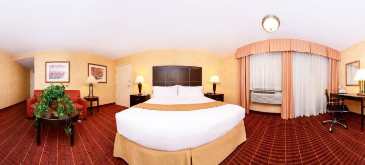 棕榈沙漠智选假日酒店(Holiday Inn Express Palm Desert)图片