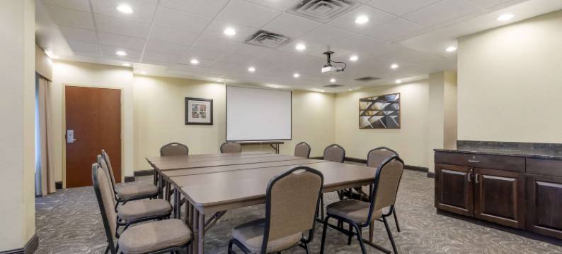 切斯特顿舒适套房酒店(Comfort Inn & Suites Chestertown)图片