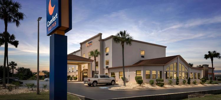 近罗宾斯空军基地舒适套房酒店(Comfort Suites Near Robins Air Force Base)图片