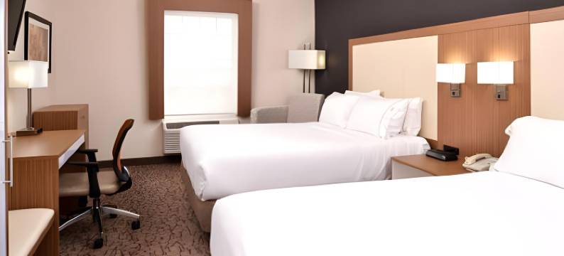 智选假日套房酒店博尼塔斯普林斯 by IHG(Holiday Inn Express & Suites Naples North - Bonita Springs by IHG)图片