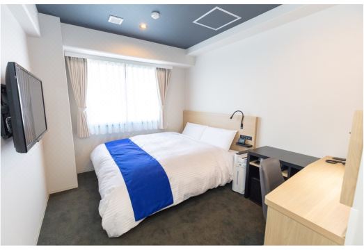 Ariston Hotel Kyoto Jujo Hotel Overview