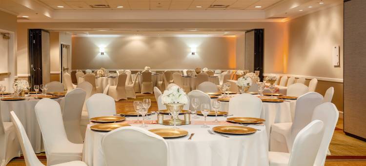 达拉斯市场中心喜来登套房酒店(Sheraton Suites Market Center Dallas)图片