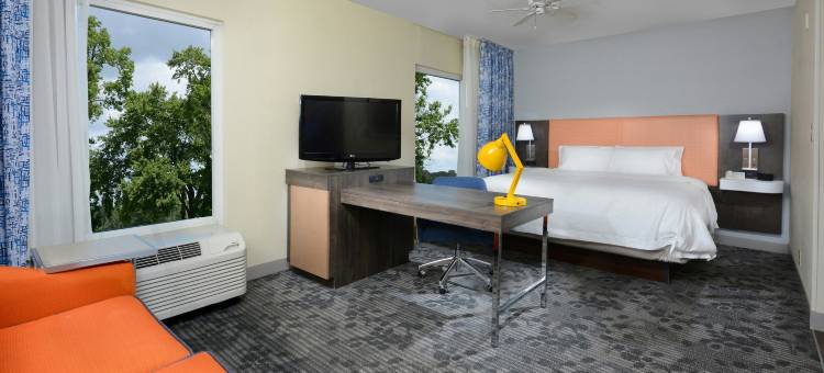 克林顿I-26欢朋套房酒店(Hampton Inn & Suites Clinton - I-26)图片