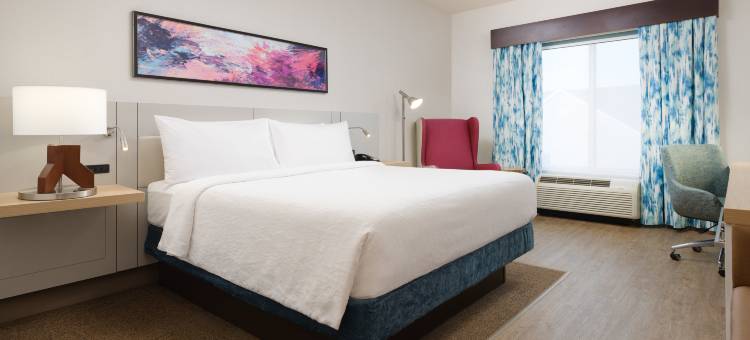 肯尼索市中希尔顿花园酒店(Hilton Garden Inn Atlanta NW/Kennesaw Town Center)图片