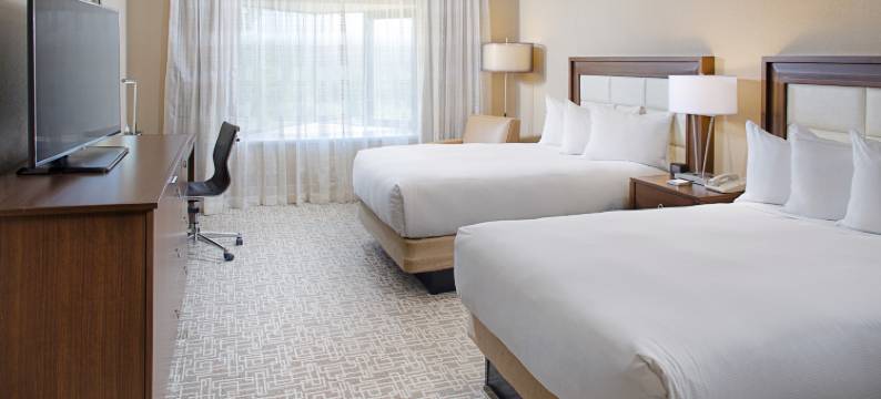 波士顿/达哈姆希尔顿酒店(Hilton Boston/Dedham)图片