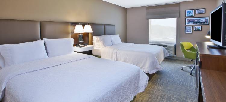 希尔顿欢朋酒店-底特律诺维(Hampton Inn by Hilton Commerce Novi)图片