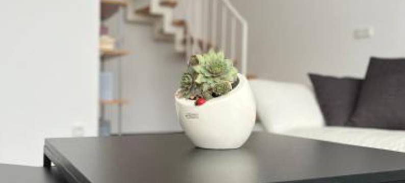 Anton-Ulrich Apartment图片