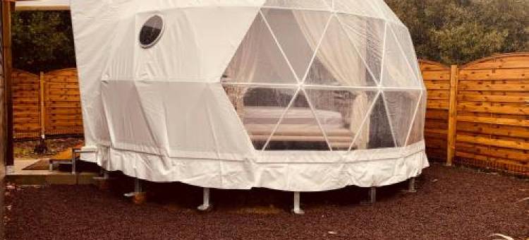 La Bulle des Coucous图片