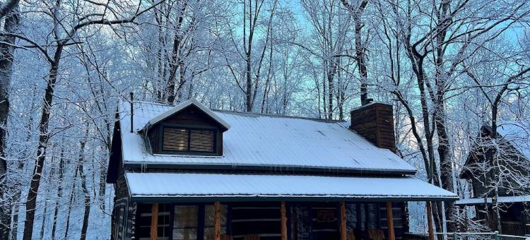 Charming Log Cabin Escape! 4 King beds, Min to Gatlinburg, Frequent bear visits!图片