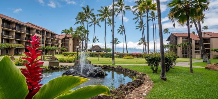免度假村费及停车费精美海滨一层公寓配有空调.(No Resort or Parking Fees. Beautiful Ocean Front, Ground Level Condo with A/C.)图片