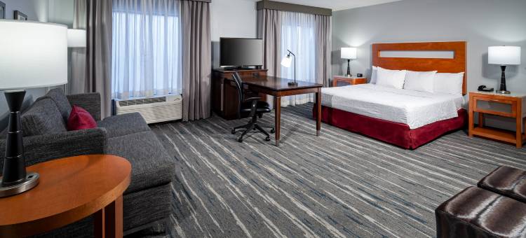 圣路易斯森林公园欢朋套房酒店(Hampton Inn & Suites St. Louis at Forest Park)图片