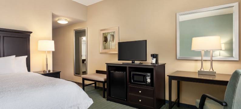 喜悦/兰开斯特西霸欢朋套房酒店(Hampton Inn & Suites Mount Joy/Lancaster West)图片