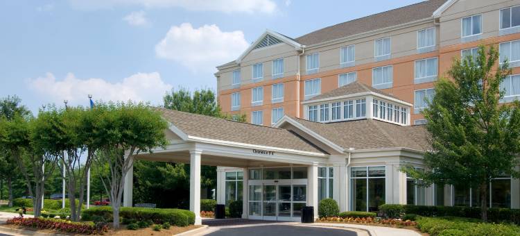 北亚特兰大/阿尔普哈雷塔希尔顿花园酒店(Hilton Garden Inn Atlanta North/Alpharetta)图片