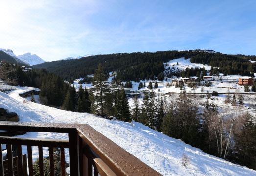 Luxury Apartment  Mountain Dream, Courchevel 1650Hotel Overview